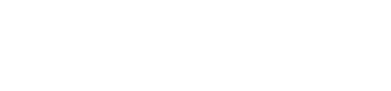 VOICE